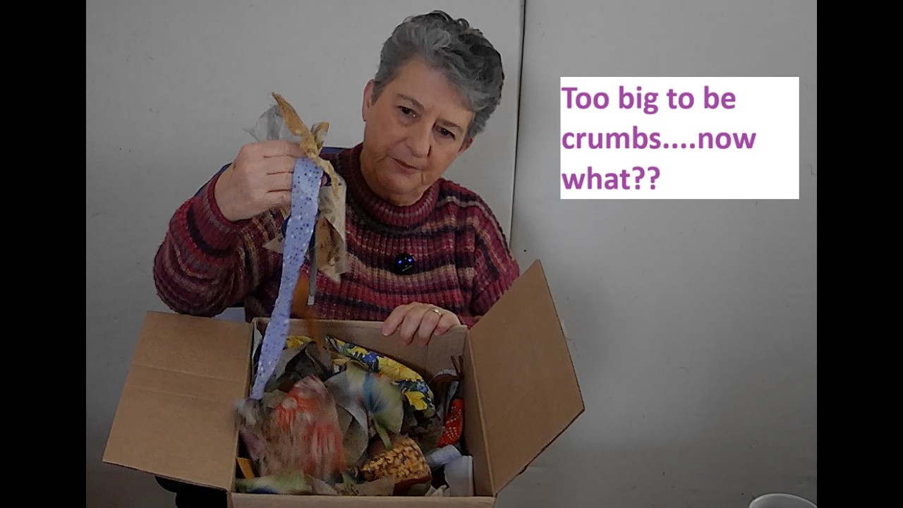 Scraps, crumbs and dryer sheets