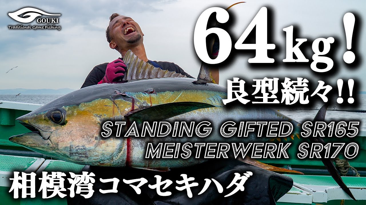 【相模湾コマセキハダ】64kgモンスター登場！ 良型も続々!!  相模湾キハダ2024
