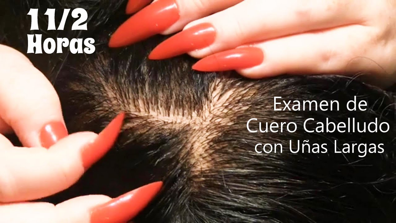 ASMR Español | Scalp Check with Long Nails Compilation | Examen de Cuero Cabelludo con Uñas Largas