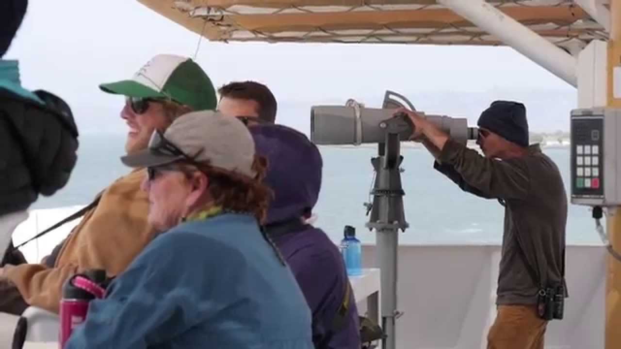 Sanctuary at Sea: A Your Sanctuary TV Special Presentation