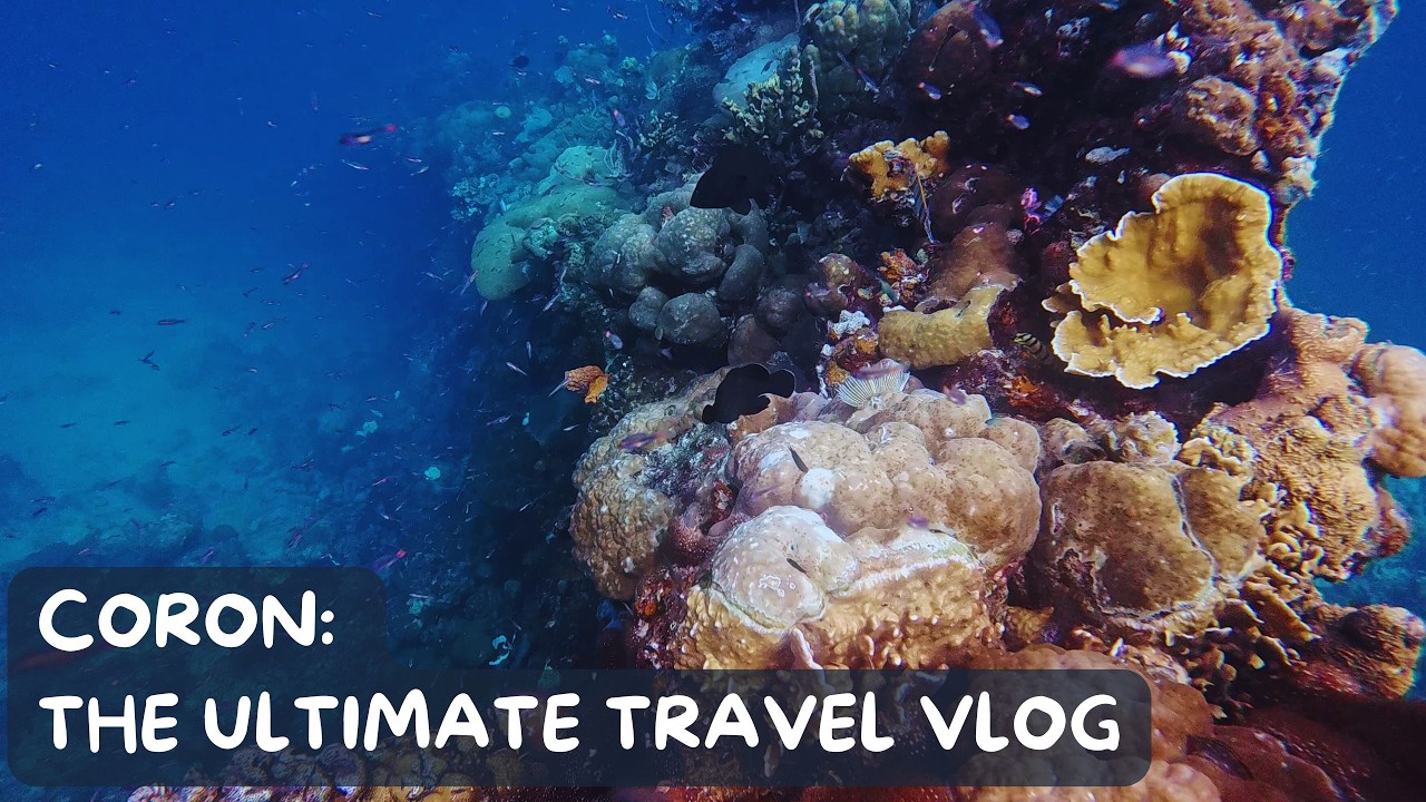 🇵🇭 Coron Palawan Travel Guide: Tours A & B & Island Escapade 🚤⛰️🏝️