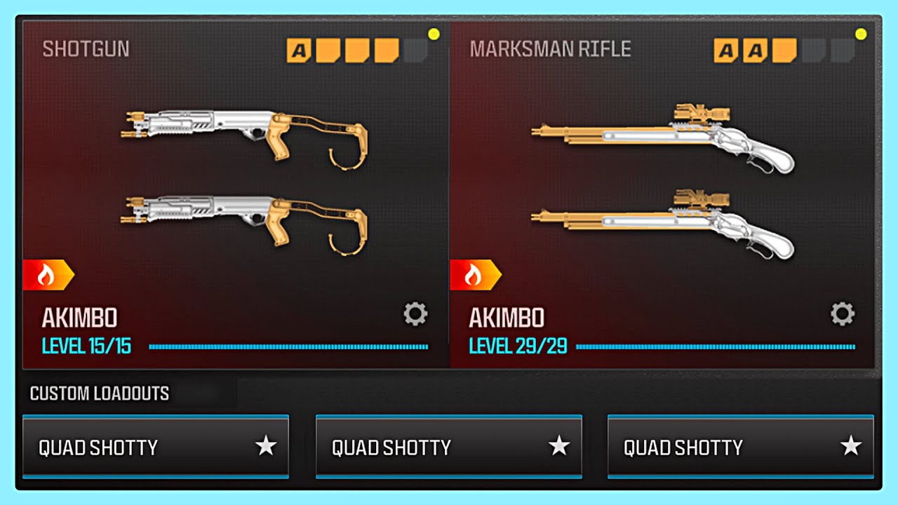 why do you have four shotguns