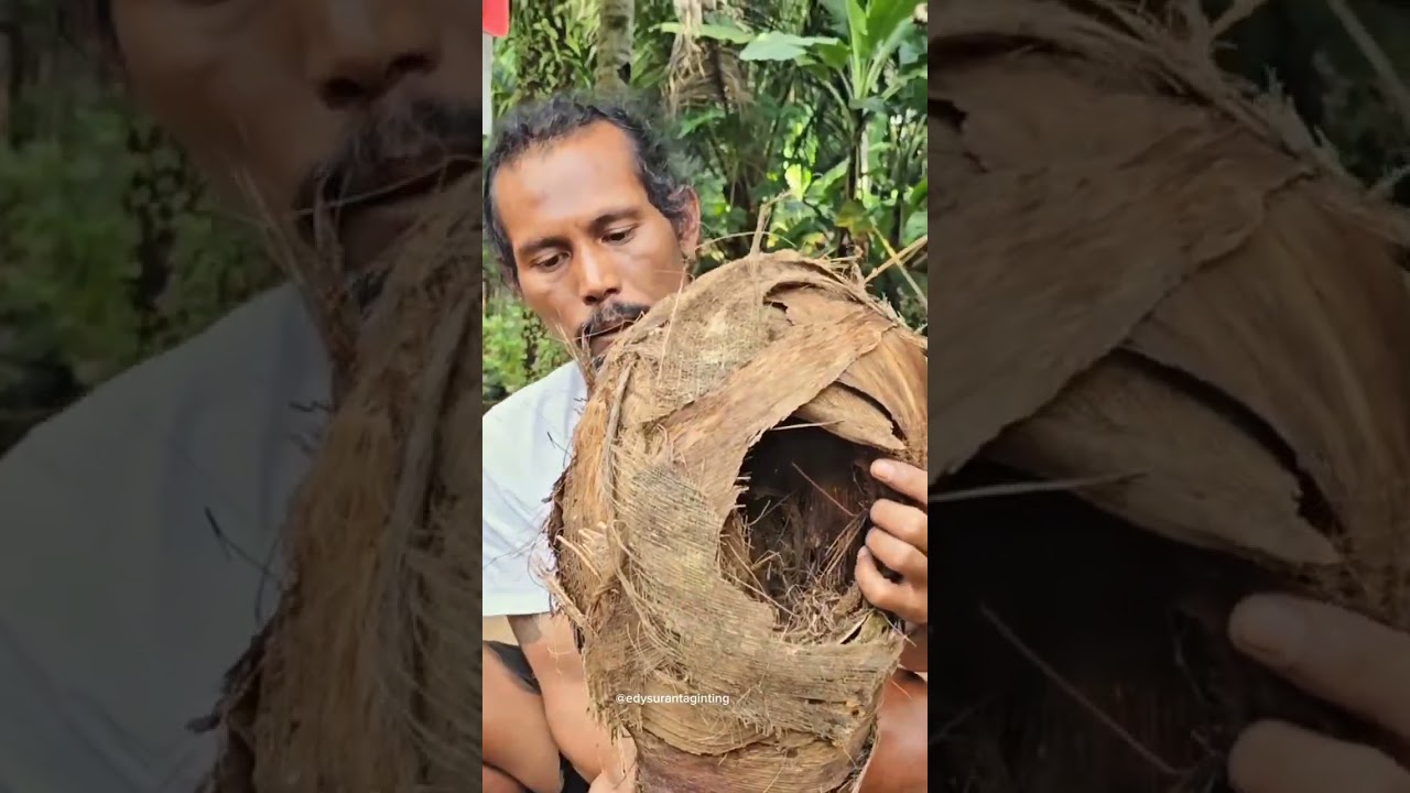 Sangkar burung paling nyaman dan mewah #shorts #short #sangkarburung #kreasi #kreatif #idekreatif