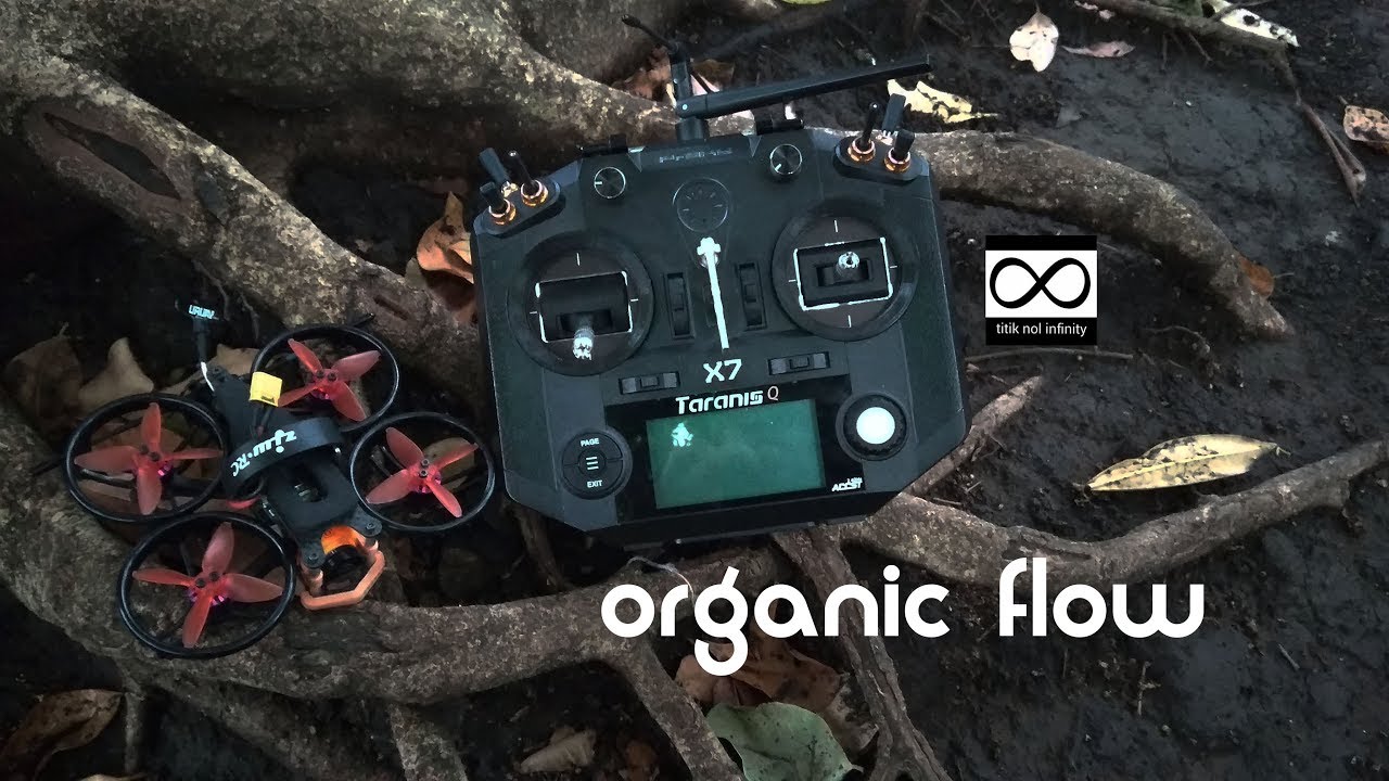 quad 2inch cinemawhoop frog 100mm / flow