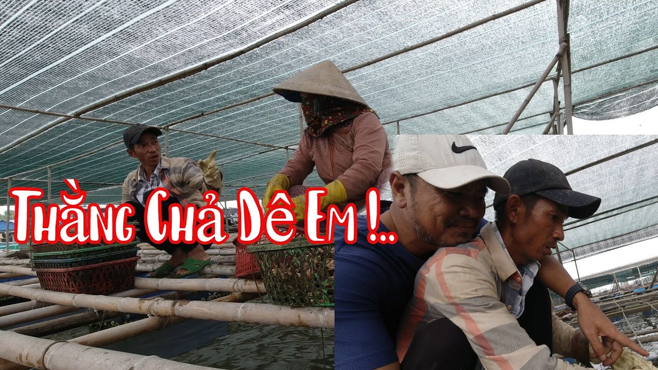 10 Râu Tìm Ra Tới Bè Để Ghẹo Bà Tám Phong Cười Tóe