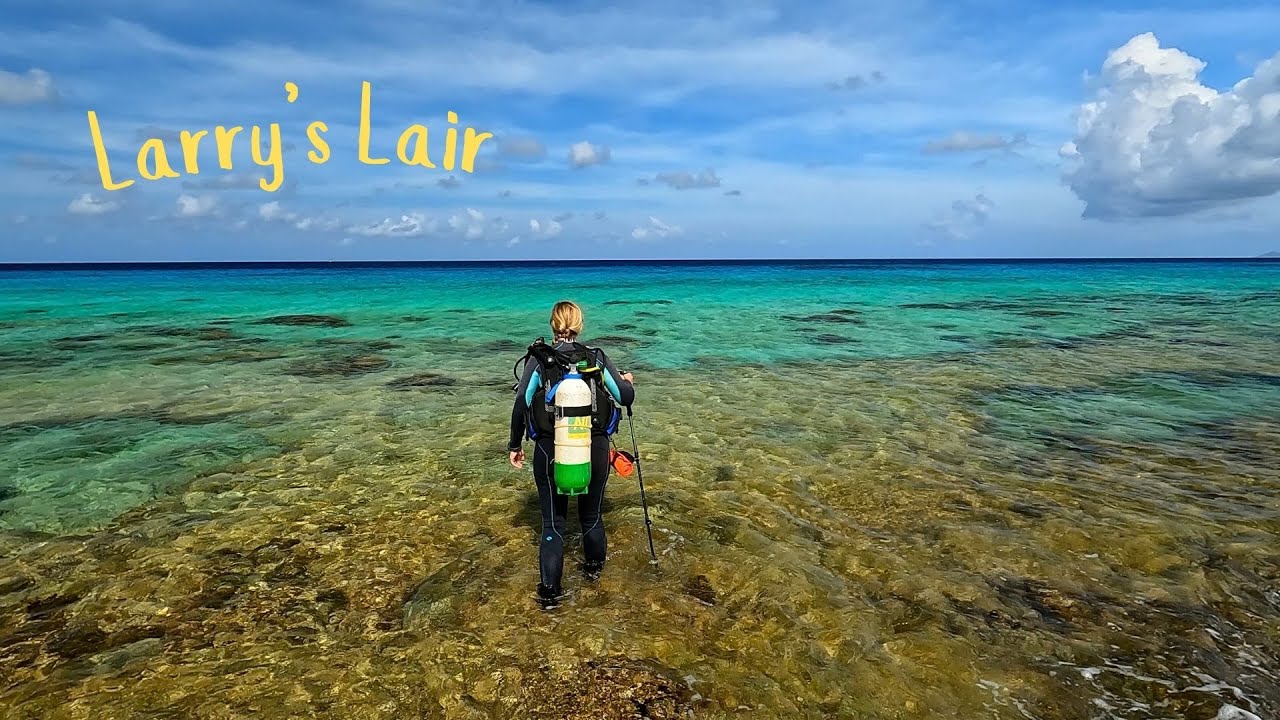 Советы и рекомендации по дайвингу с берега на острове Бонейр — Larry's Lair