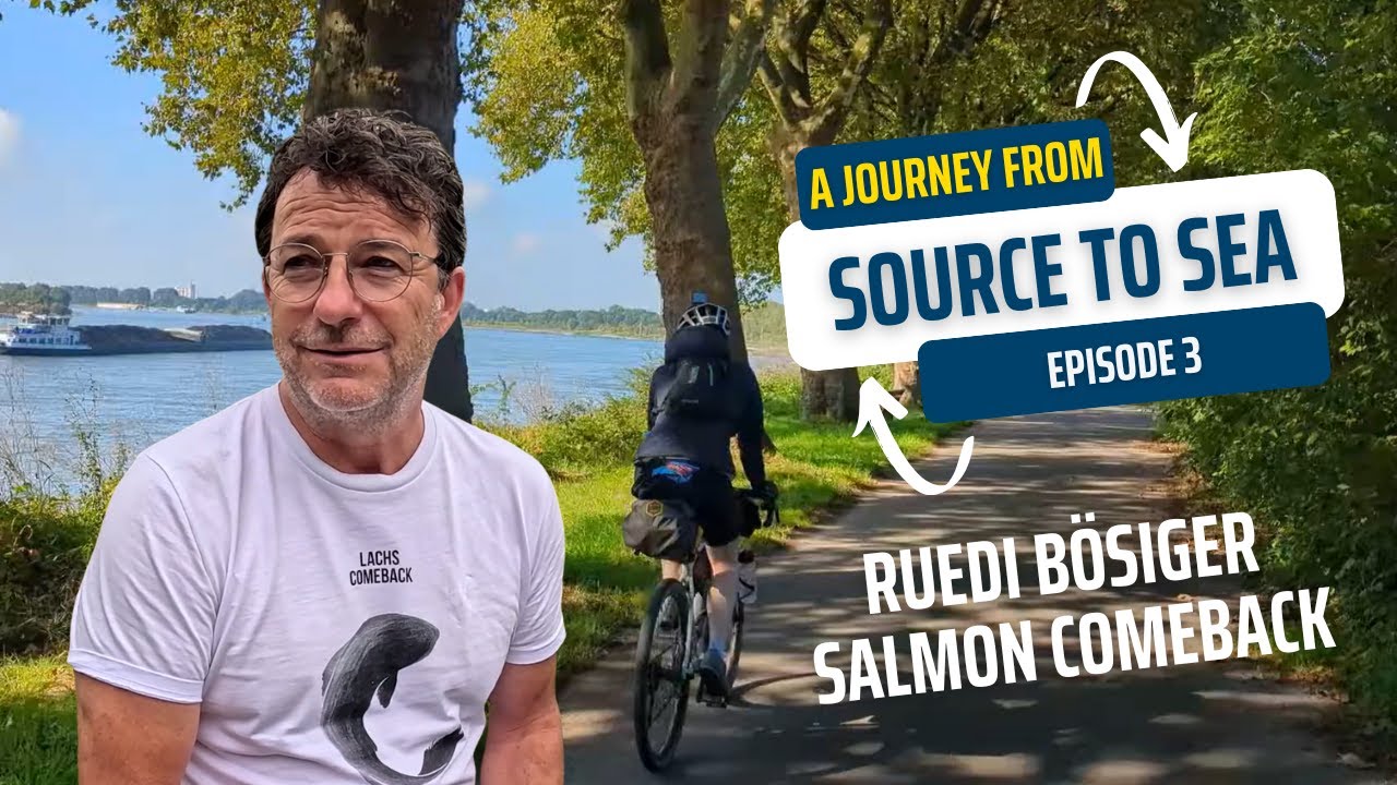 The Salmon Comeback Project: A Journey from Source to Sea: Episode 3