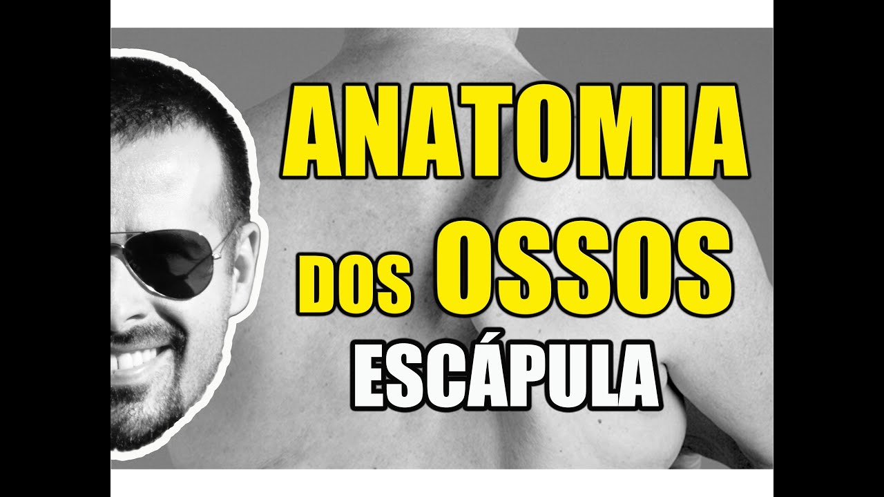 Acidentes ósseos da Escápula (antiga Omoplata) - Sistema Ósseo/Esquelético - VideoAula 057