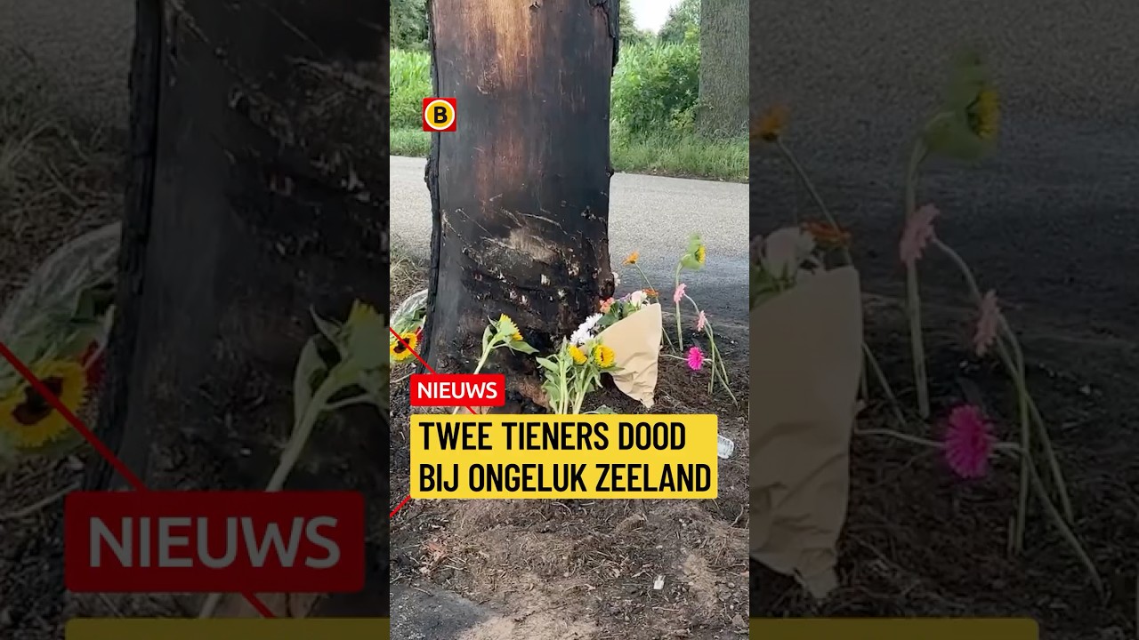 Twee jongens van 15 overleden bij auto-ongeluk | #112nieuws