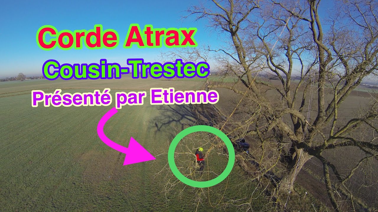 Élagage : Corde ATRAX 11,6 mm