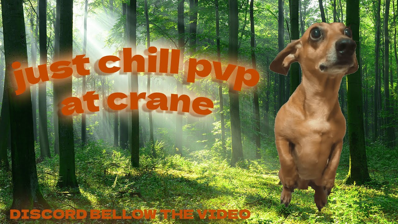 chill pvp at crane➤PROJECT DELTA