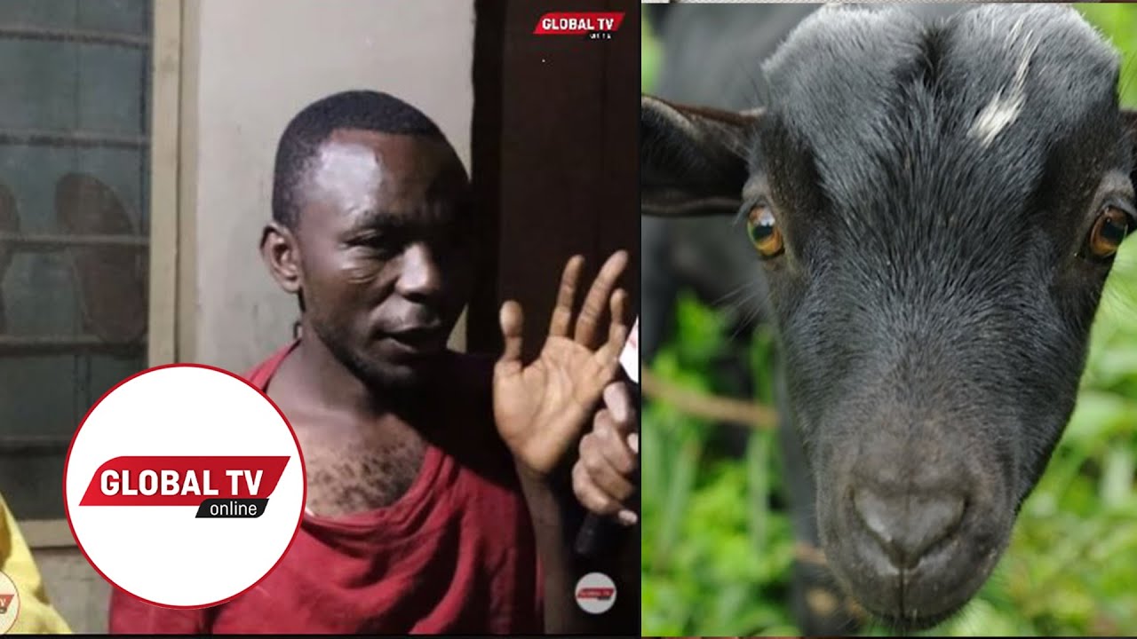 KIJANA ANASWA 'LIVE' AKIBAKA MBUZI, AKIRI - 