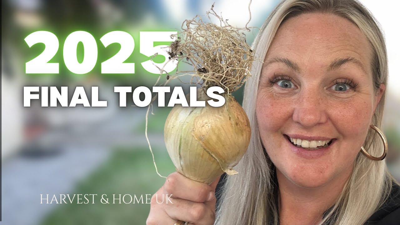 What ACTUALLY Grew Well on My Allotment This Year (Honest Results) 