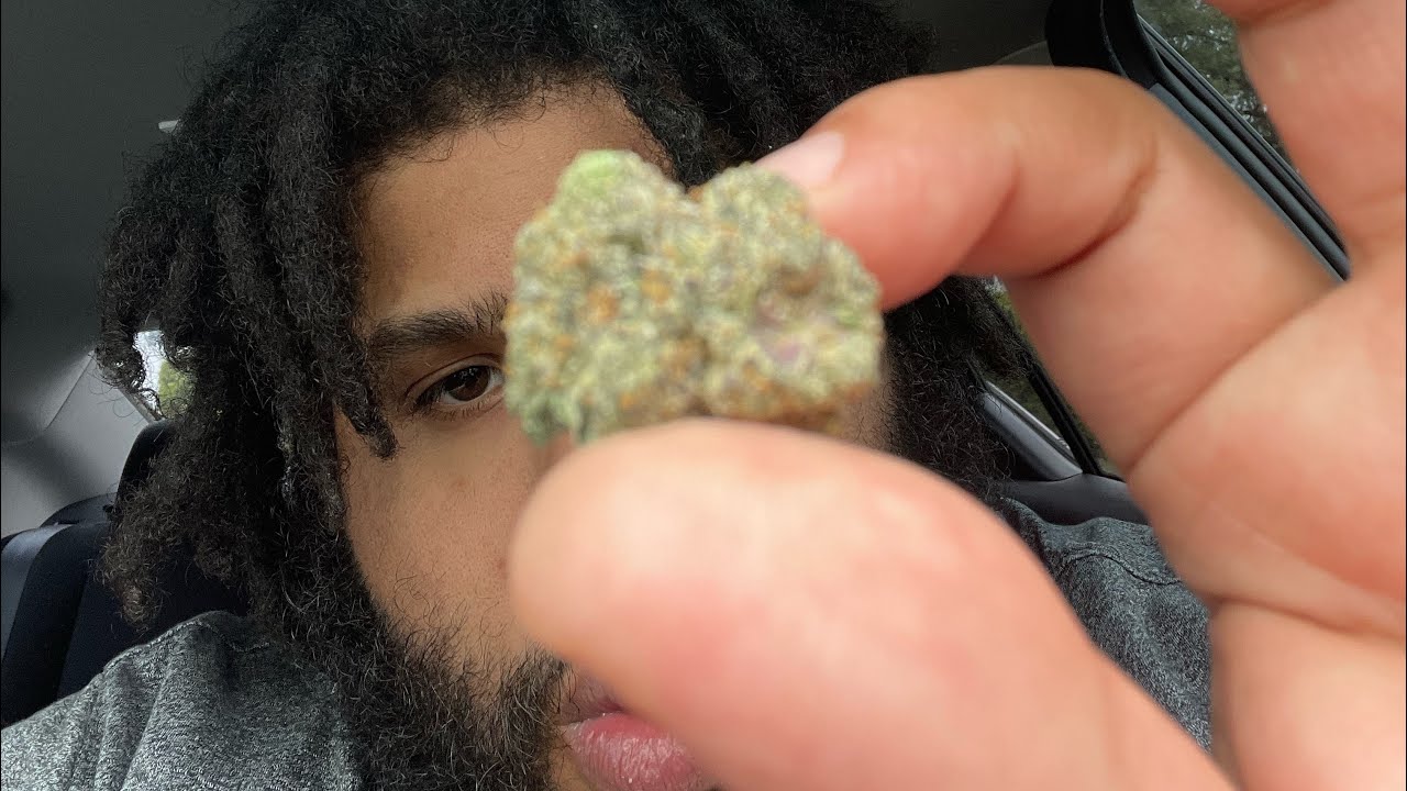 Wedding Cake X Gelato 41 (Fade Co)