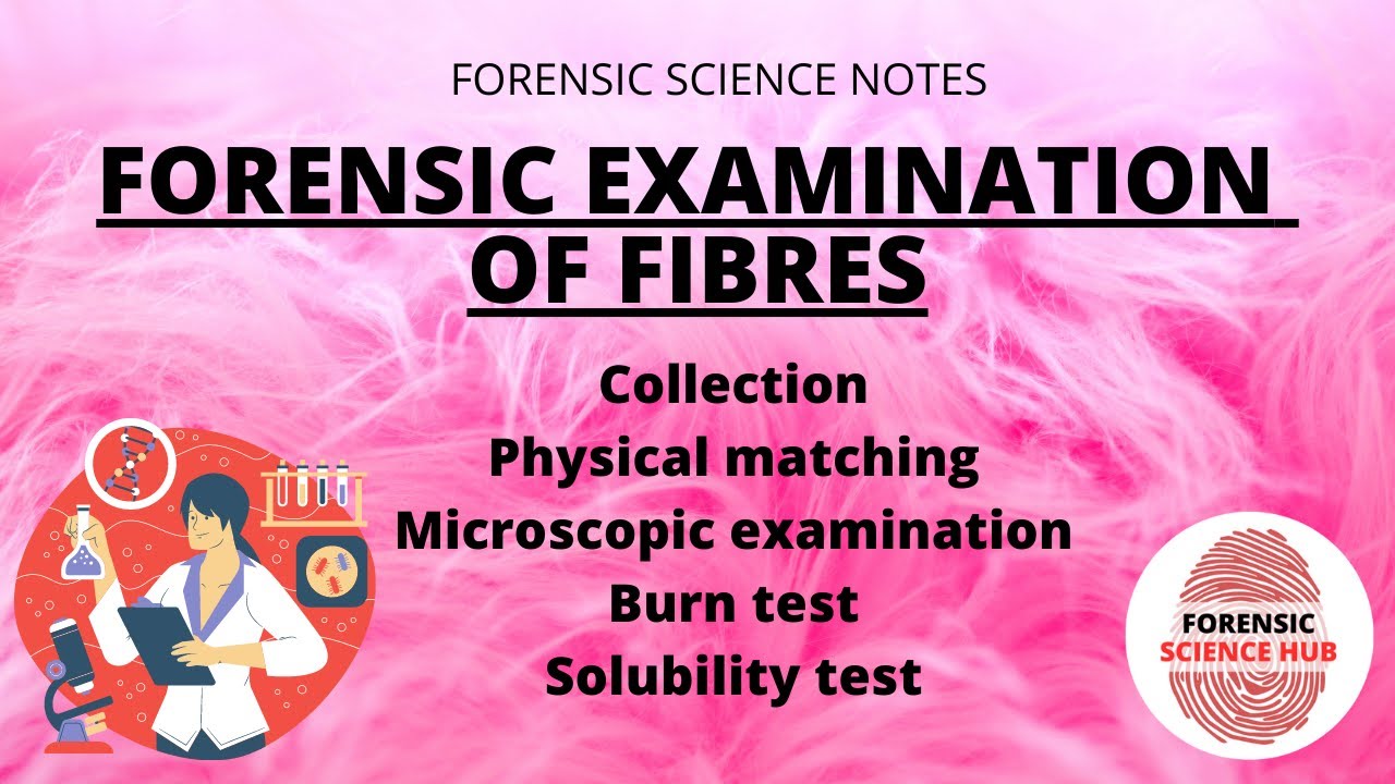 Forensic examination of fibres