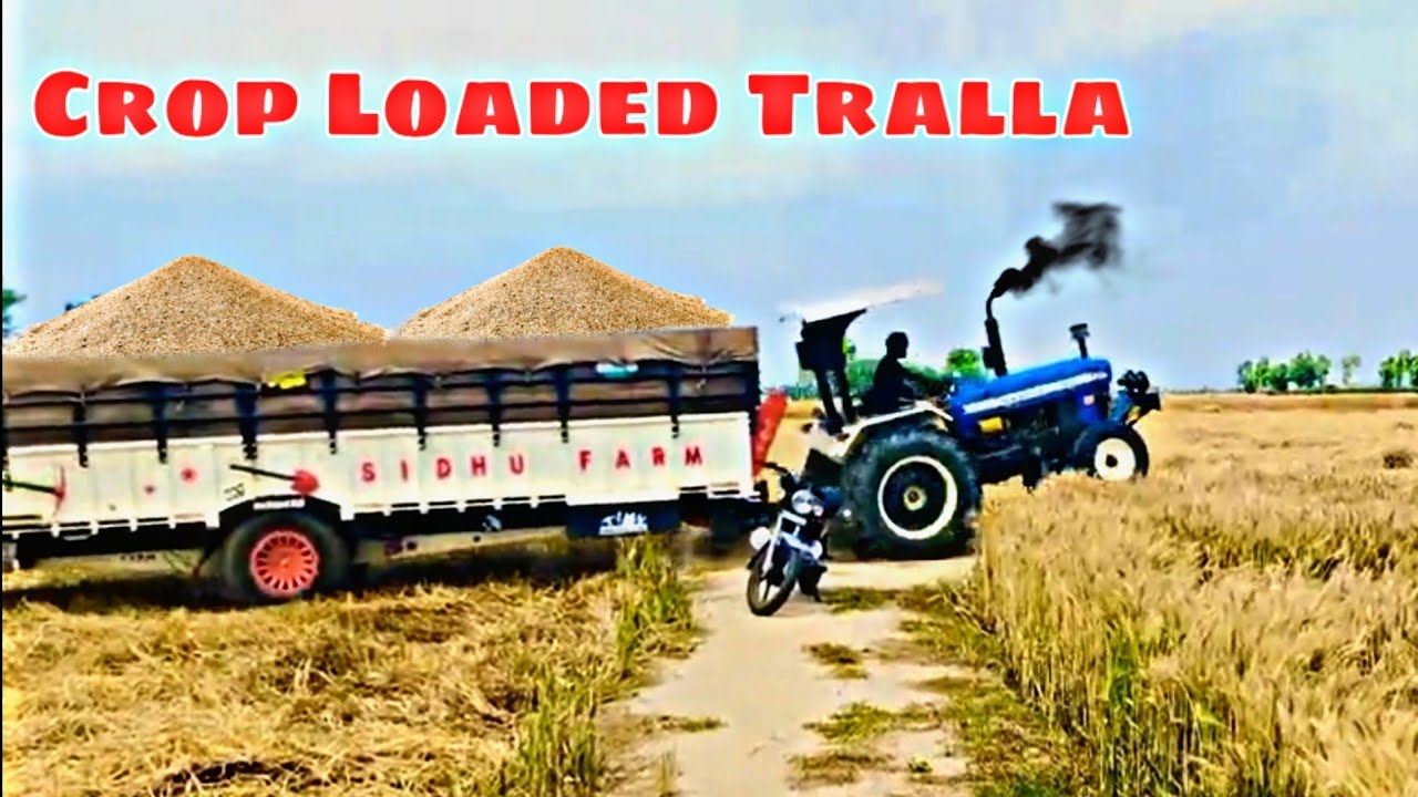 New Holland 3630 Sira Kraunda | Full Loaded Trolley | Sada Chalda A Dhakka