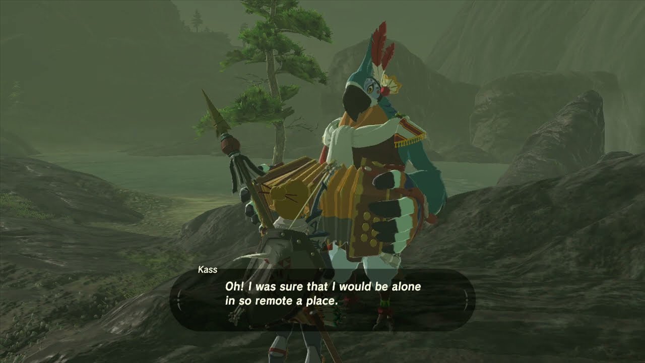 The Legend of Zelda : Breath of the Wild Long Play Part 12 (Wii U)