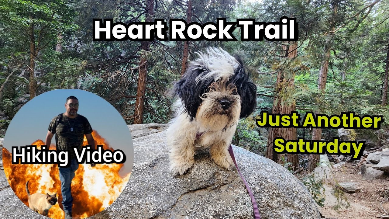 Heart Rock Trail With a Puppy