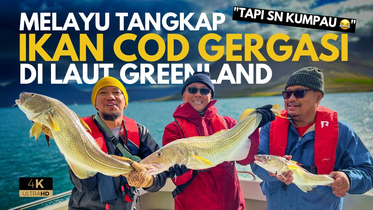 Anak Melayu Mancing ikan cod gergasi di laut Greenland , travelog Iceland - Ep15
