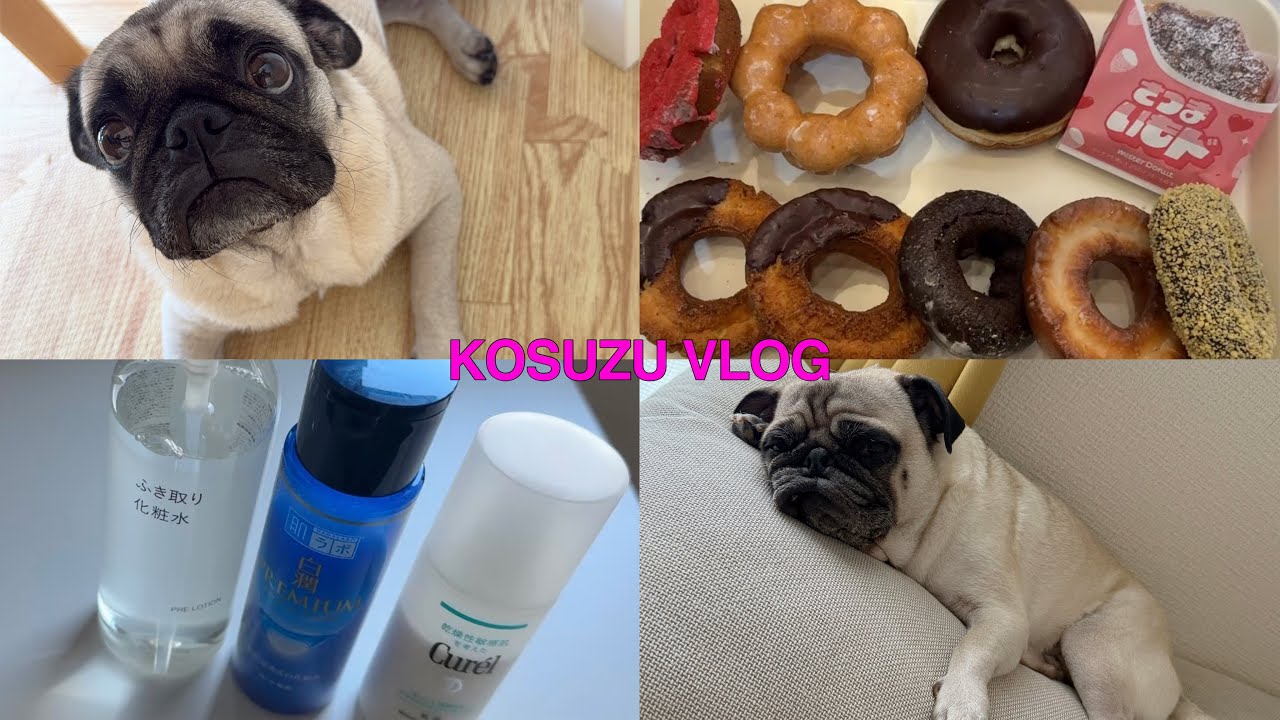 【Vlog】愛犬との休日🏠うちにヤギいたっけ⁉️家事して🧼買い物行って🛍散歩の日常🐶🐶🐶