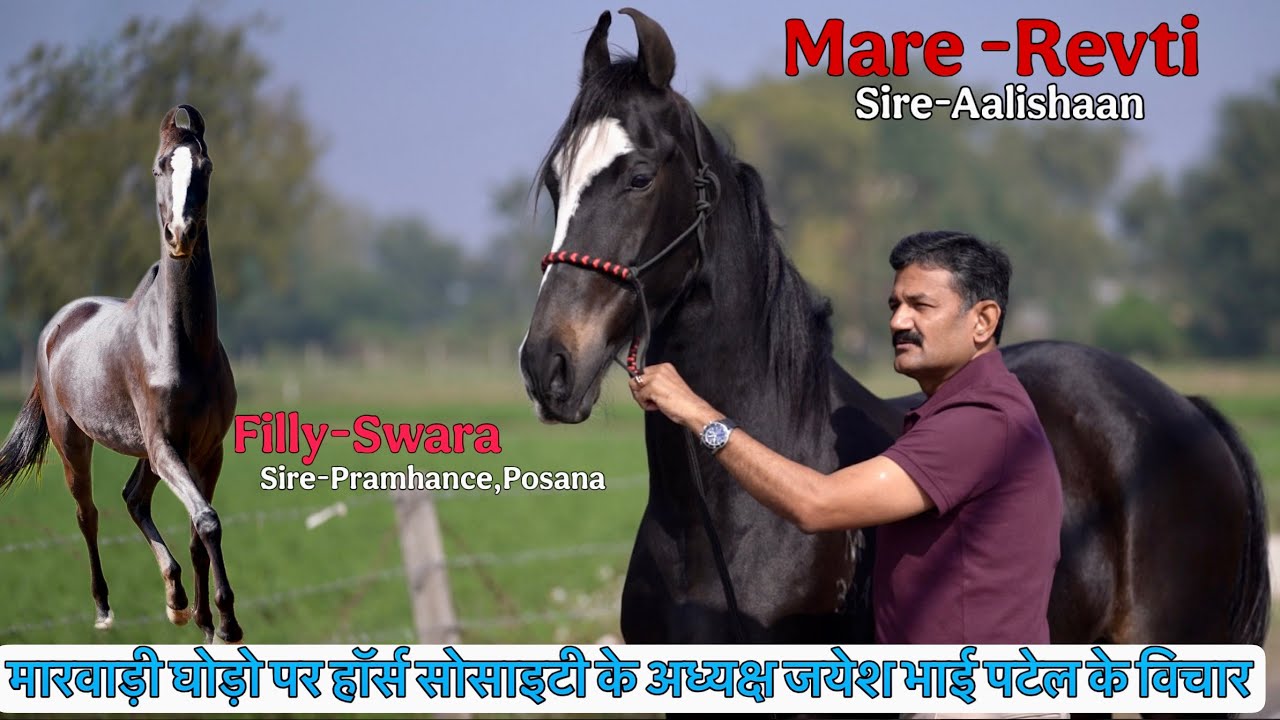 दादा से विरासत में मिले जयेश भाई पटेल को घोड़े- शोक आज भी बरकरार