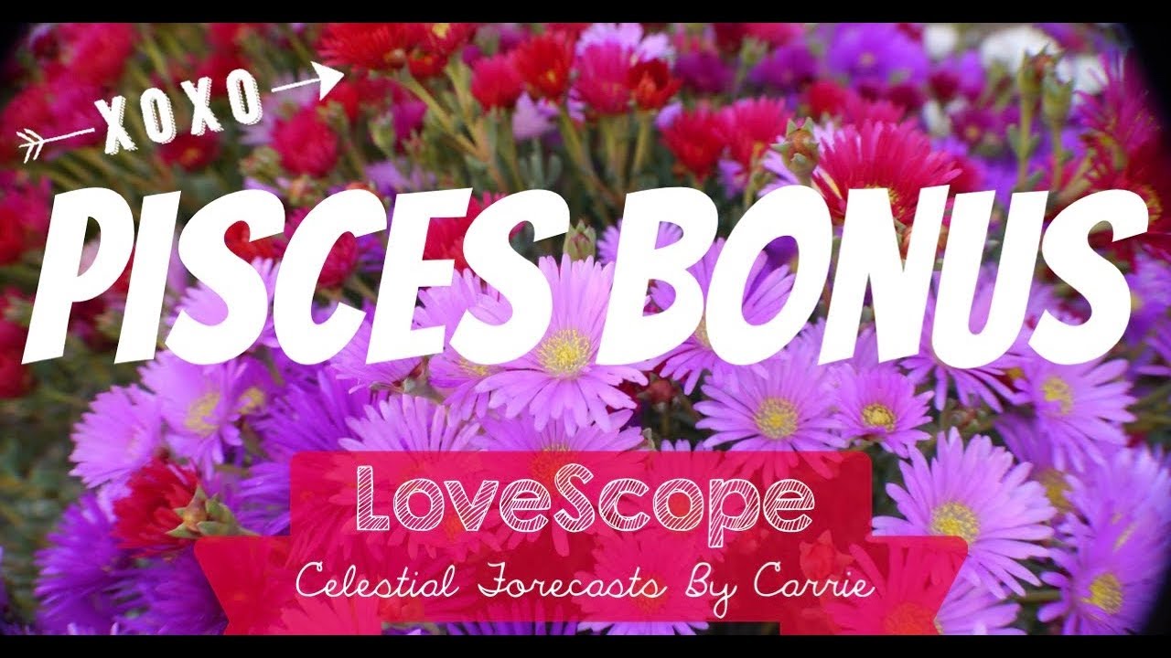 PISCES BONUS!!  HOW YOUR DIVINE PERSON FEELS ABOUT THE CONNECTION ❤😍