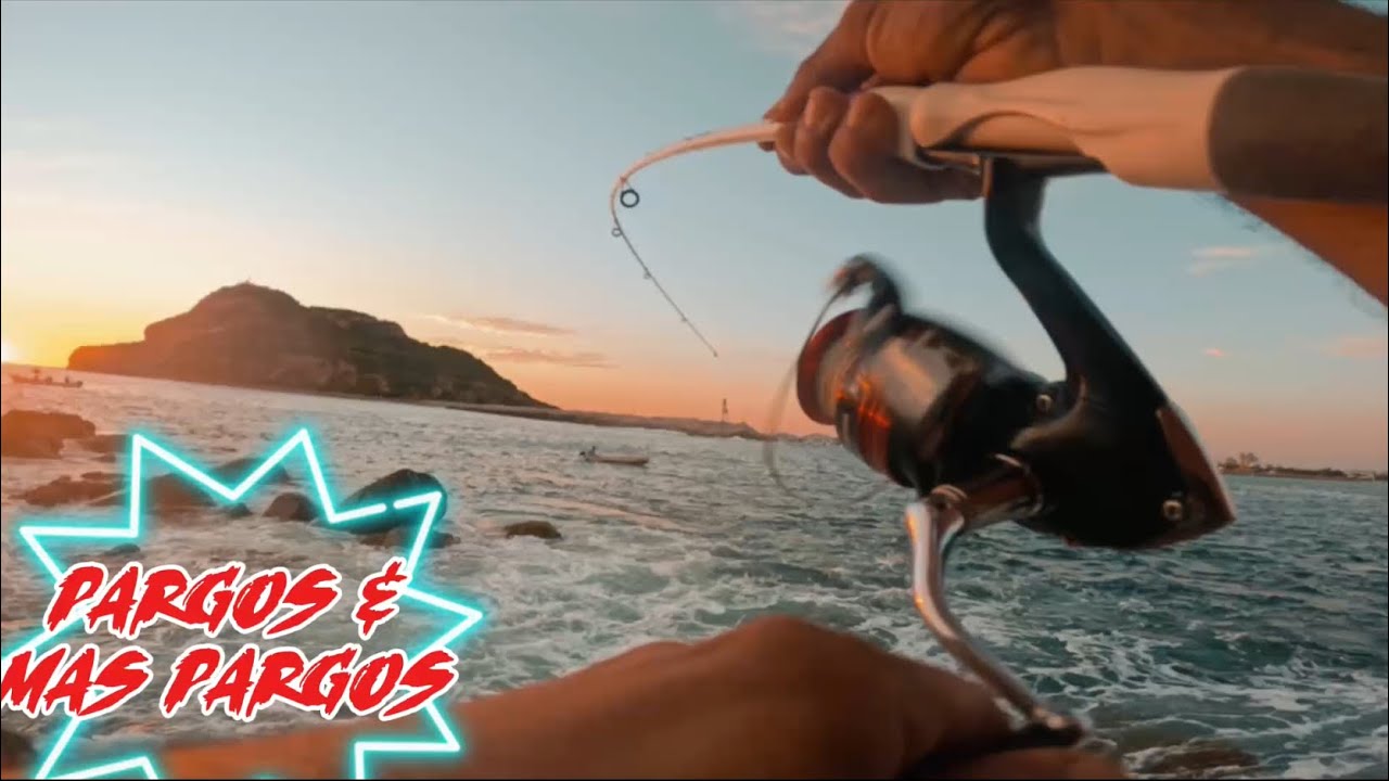 Pesca de PARGOS con minnow || Pesca de orilla de PARGOS con señuelo minnow