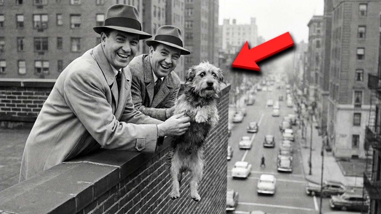 Bumpy Johnson's Dog Was KIDNAPPED - What He Did In The Next 4 Hours Became LEGEND
