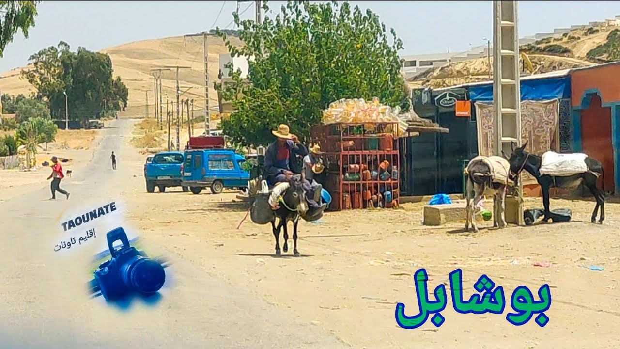 🔹بوشابل... سكون الطبيعة ونبض الفلاحة🌾 أنت بقبيلة شراكة أشجع ، أرض زراعية ممتازة إقليم تاونات
