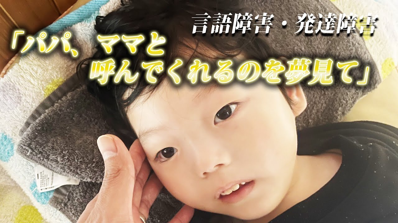 【言語障害・発達障害】滑脳症、りょうたの言葉を聞きたくて…