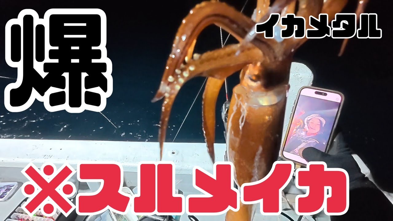 【スルメイカ】爆釣海域　三重県に凸ってみた結果・・・・・