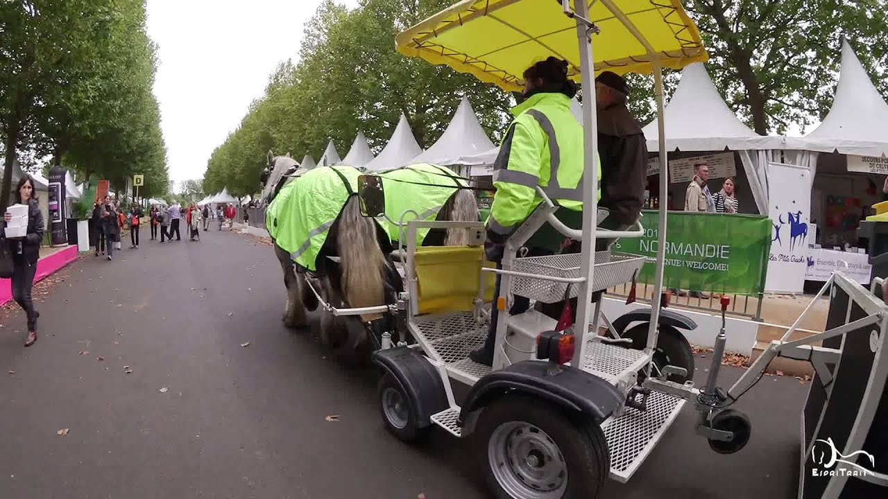 Village du Cheval de travail aux JEM en Normandie 2014