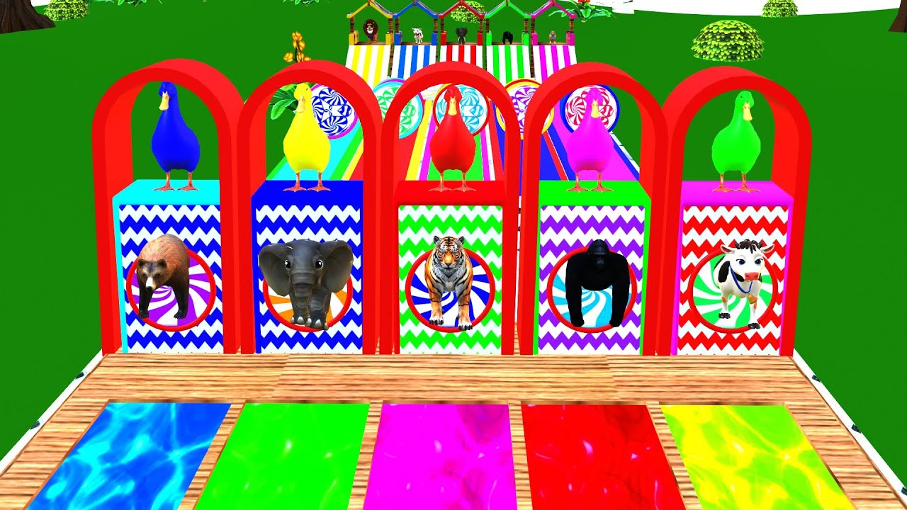 Long Slide Game With Gurila Elephant Cow Lion Tiger 3d Animal Game Funny 3d Animal