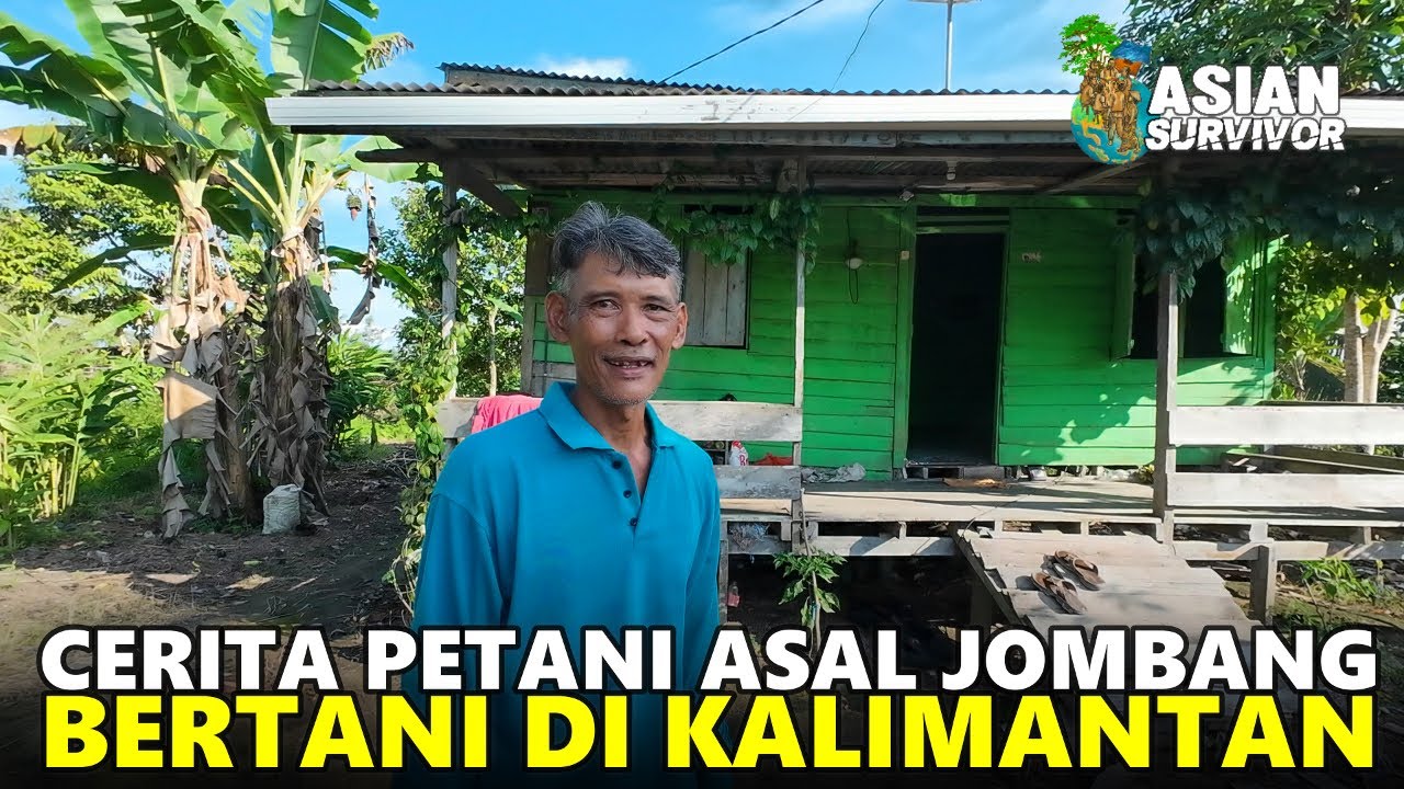 KEGIATAN PAK SUHAWIN, ASAL JOMBANG 12 TAHUN KELOLA LAHAN TRANSMIGRASI KALIMANTAN UTARA
