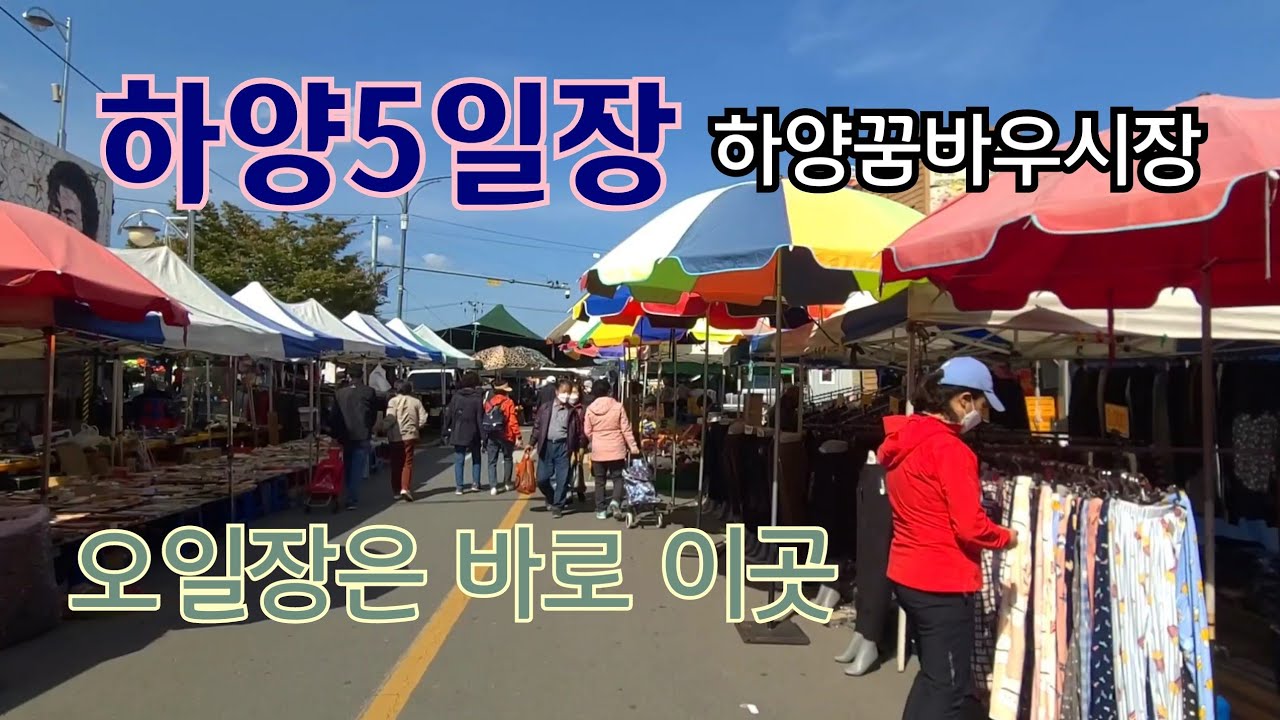 재미있는 오일장의 정석,하양장날의 풍경 Exploring the Hayang 5-day market