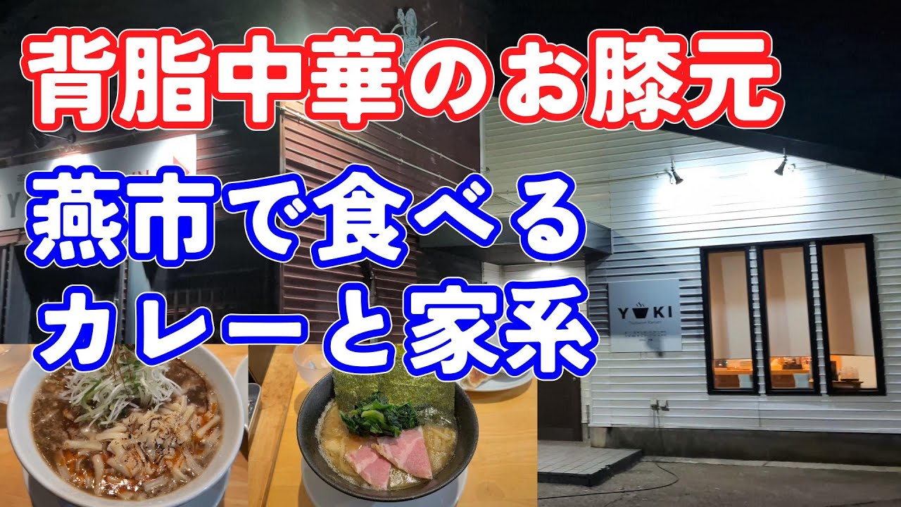 【ショシュランVol.105】新潟5大ラーメンのカレーラーメンと背脂中華with家系ラーメンとバラエティー豊かな店舗でラーメン納めしてきました【ツバメ　ラーメン　ユウキ】