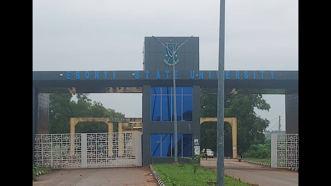 EBONYI STATE UNIVERSITY PERM-SITE #madamsabicook #trending #ebonyi