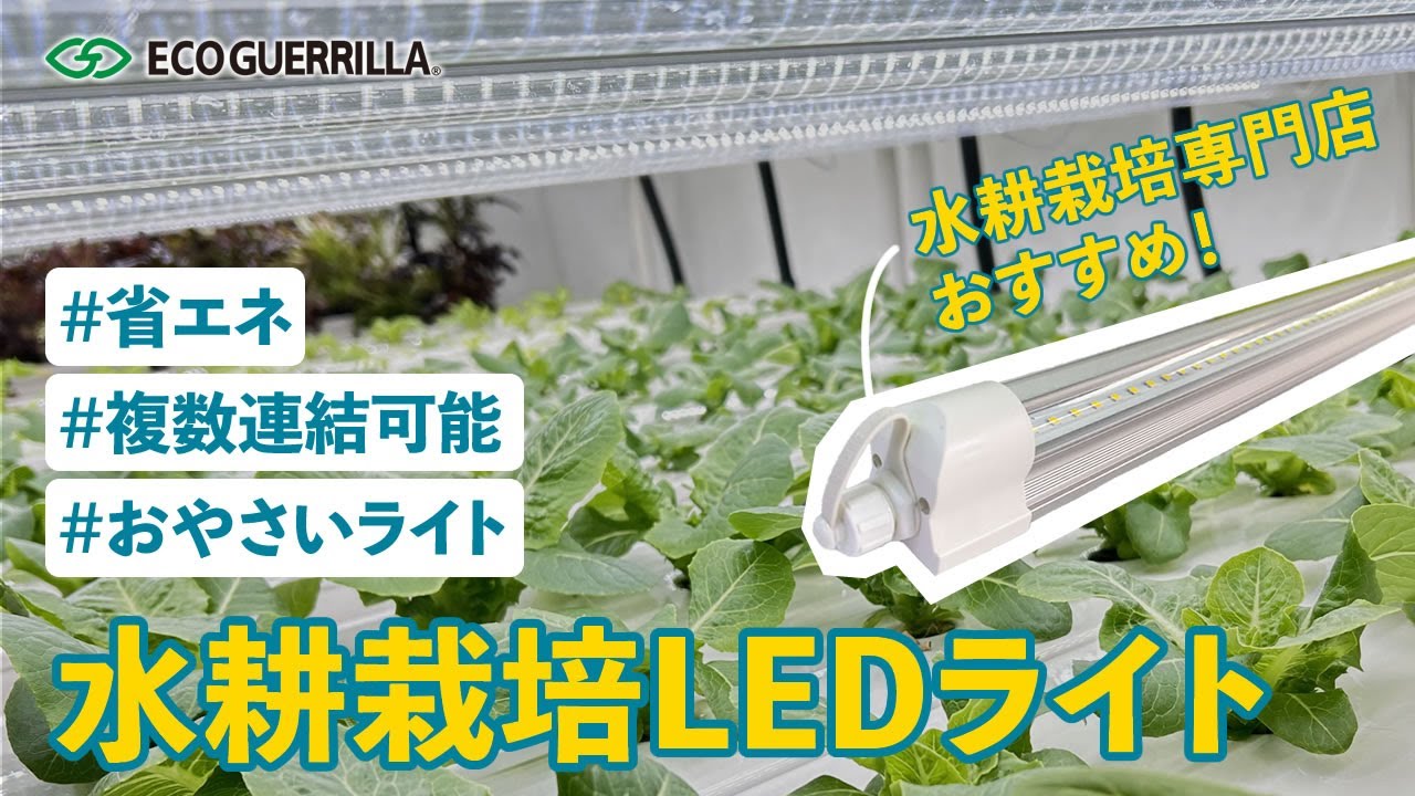 【水耕栽培ledはこれがおすすめ】省エネ設計で長寿命！野菜栽培や観葉植物にも使える植物育成LEDライト！【水耕栽培専門店が開発】
