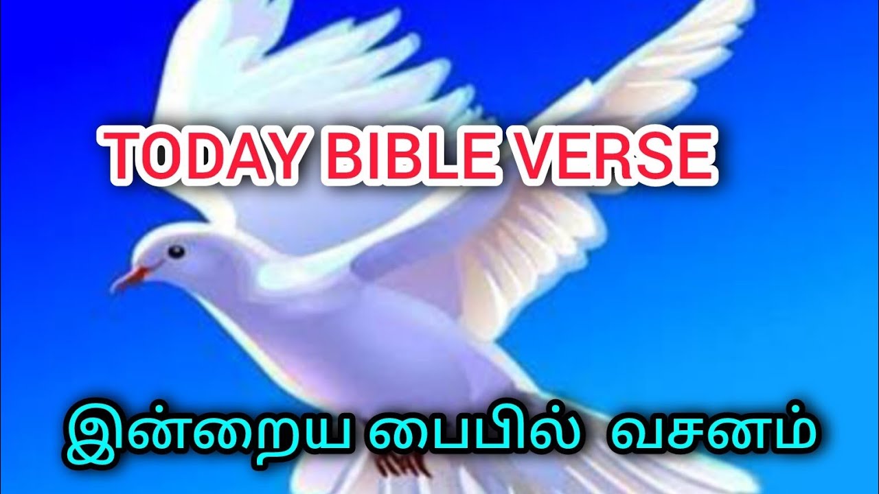 கர்த்தர் சொன்னப்படி உங்களை ஆசிர்வதிப்பார்  Today Bible verse| tamil Bible words