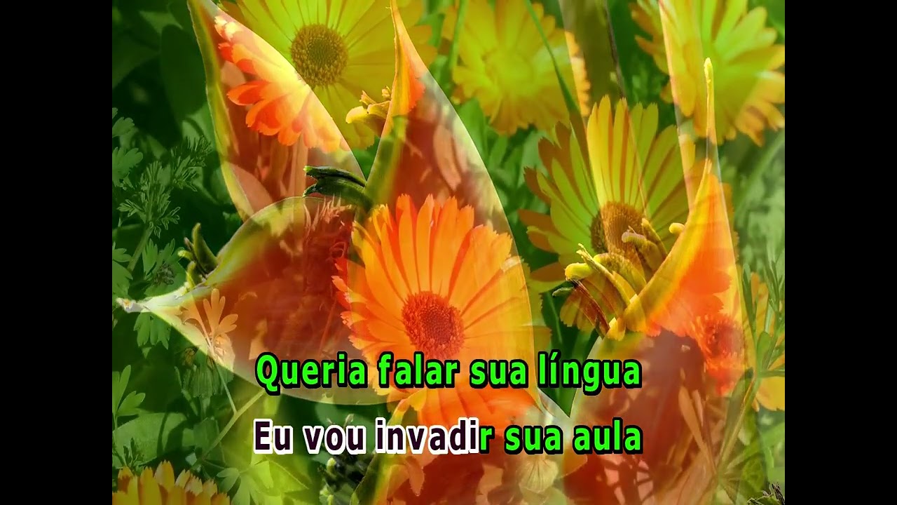 04161 - ADRIANA CALCANHOTO - MENTIRAS -==Karaoke&ndash;Videoke &ndash; Playback