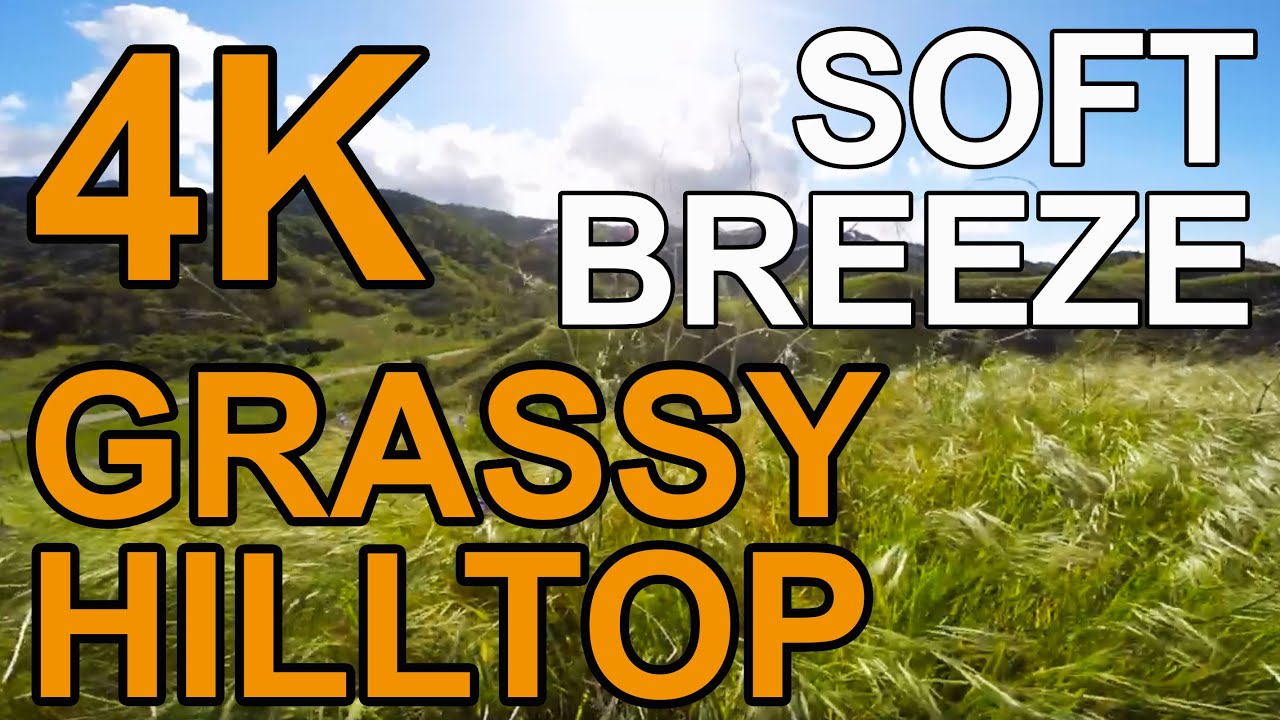 4K Grassy Hilltop - ASMR CaliScapes - Soothing Nature Sounds