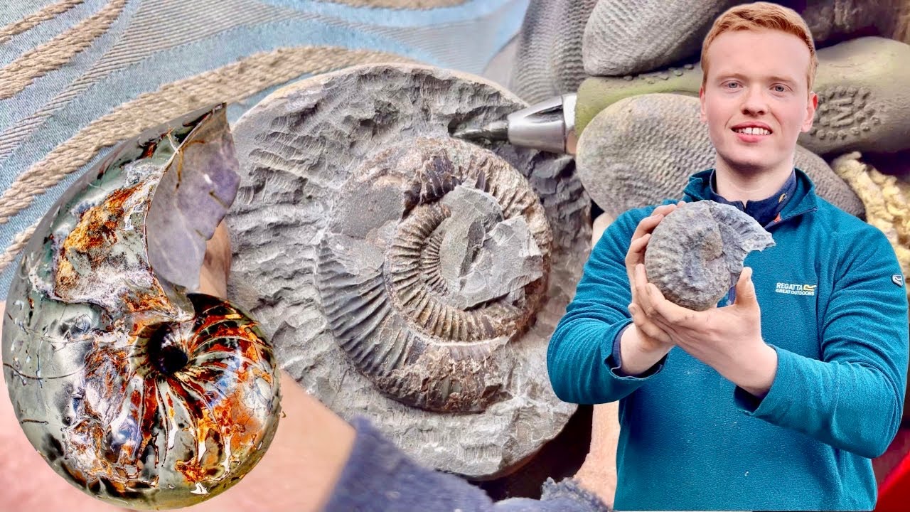 Careful Preparation of An Ammonite Fossil! Fossil Preparation
