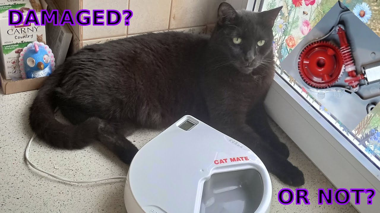 Cat Mate C300 Automatic Feeder Teardown