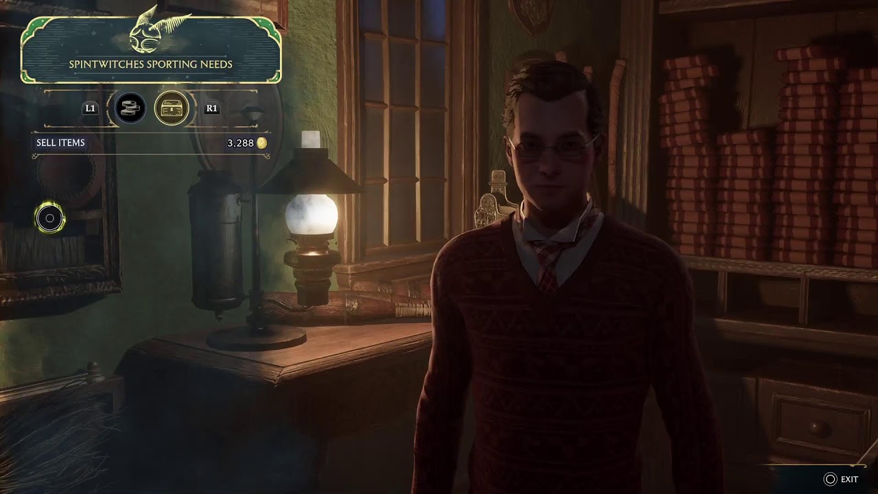PS5 Live Gameplay Hogwarts Legacy Day 17