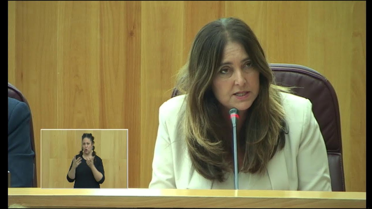 Pleno Ordinario 30/10/2025