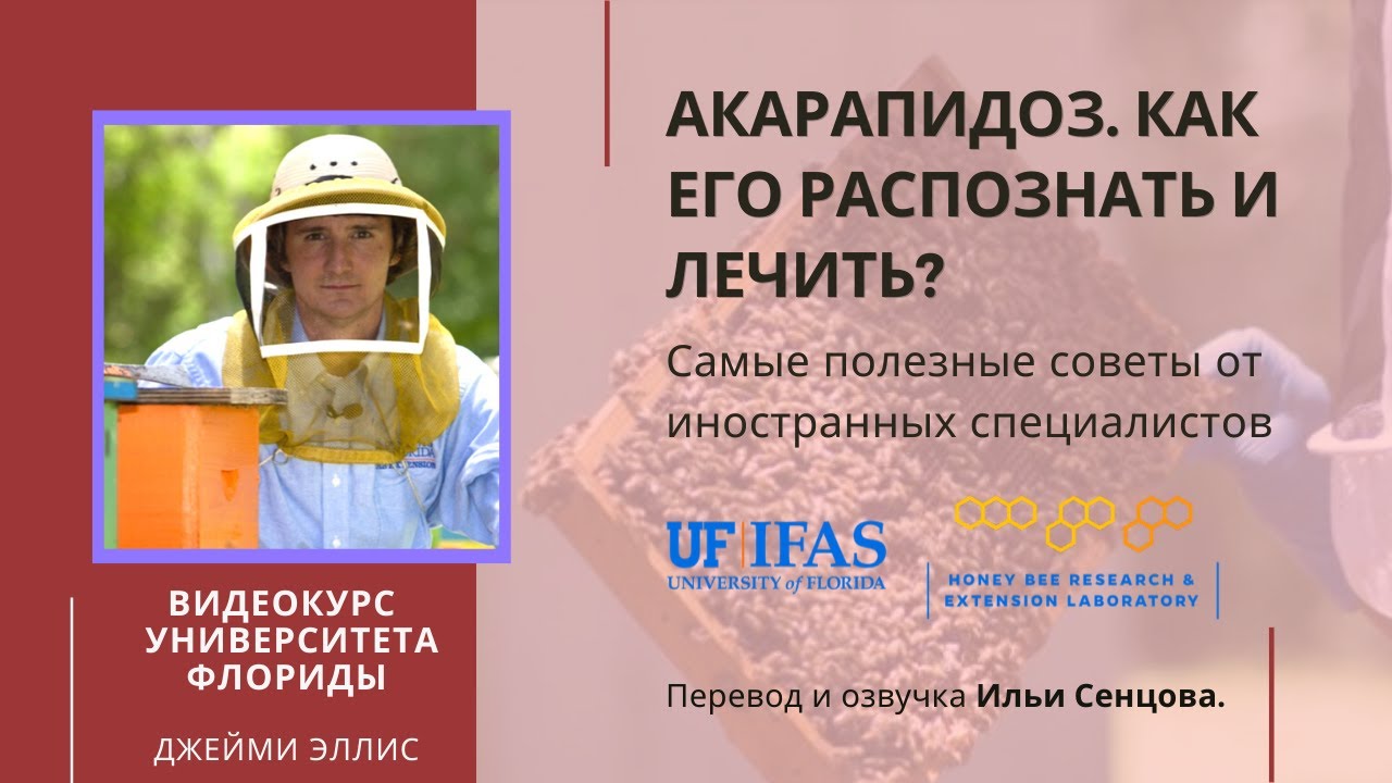 Акарапидоз. Как его распознать и лечить? (Университет Флориды)