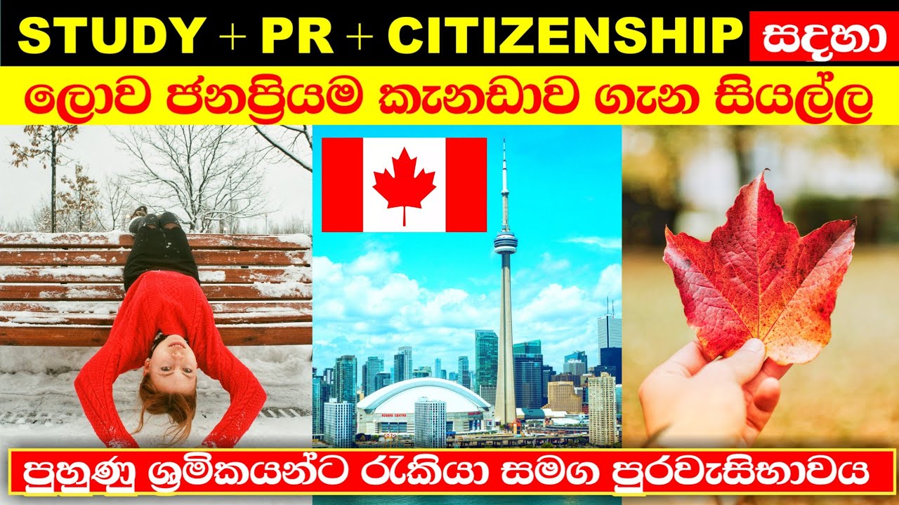 කැනඩාව පිලිබද ඔබ දැනගත යුතුම දේවල් | pr, study, citizenship | canada in sinhala 2021 🇨🇦