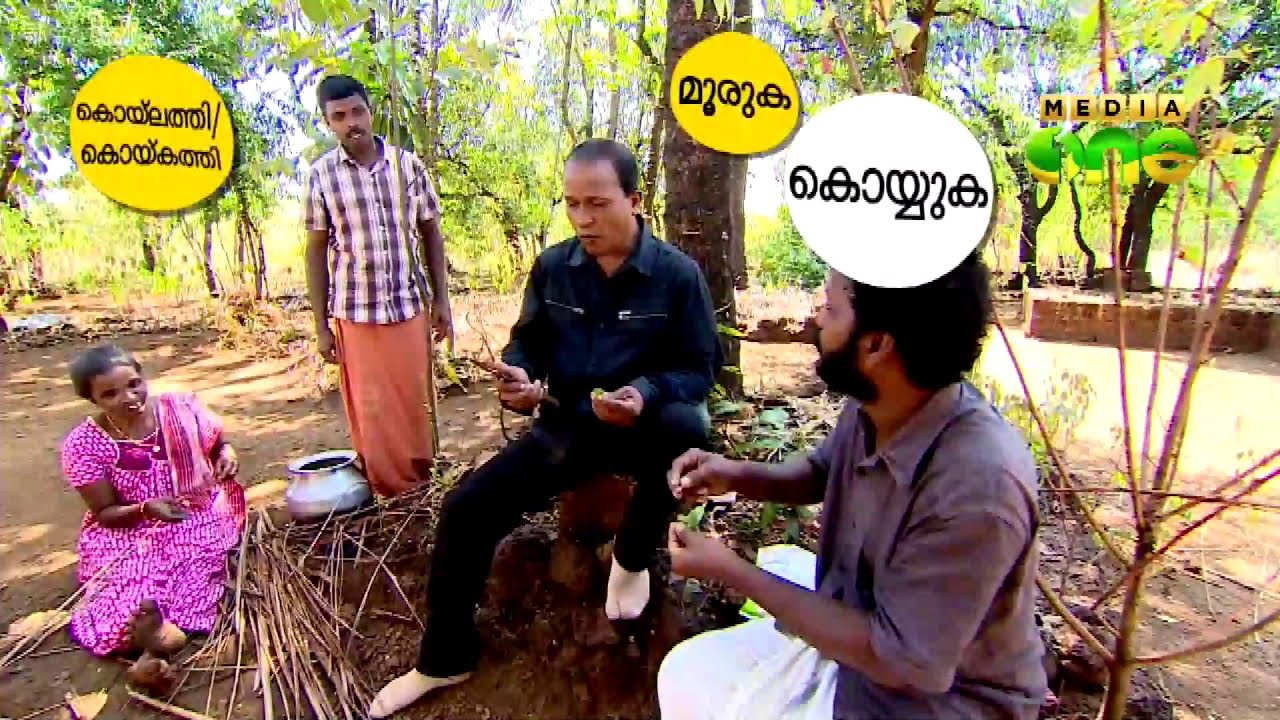 Njanga Ninga | Through the native languages - Vattakkalthattu Kasaragod (Episode 43)