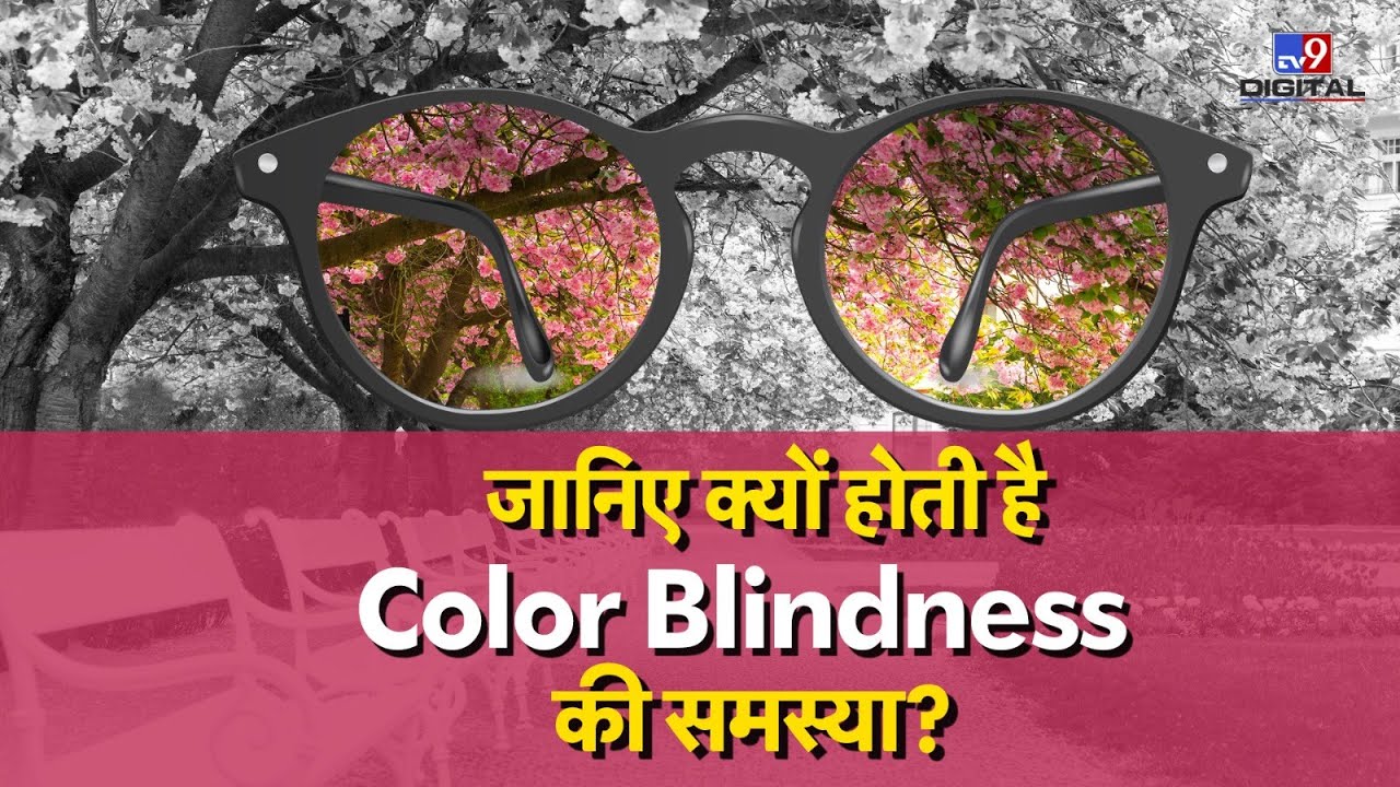 जानिए क्यों होती है Color Blindness की समस्या? | #tv9d