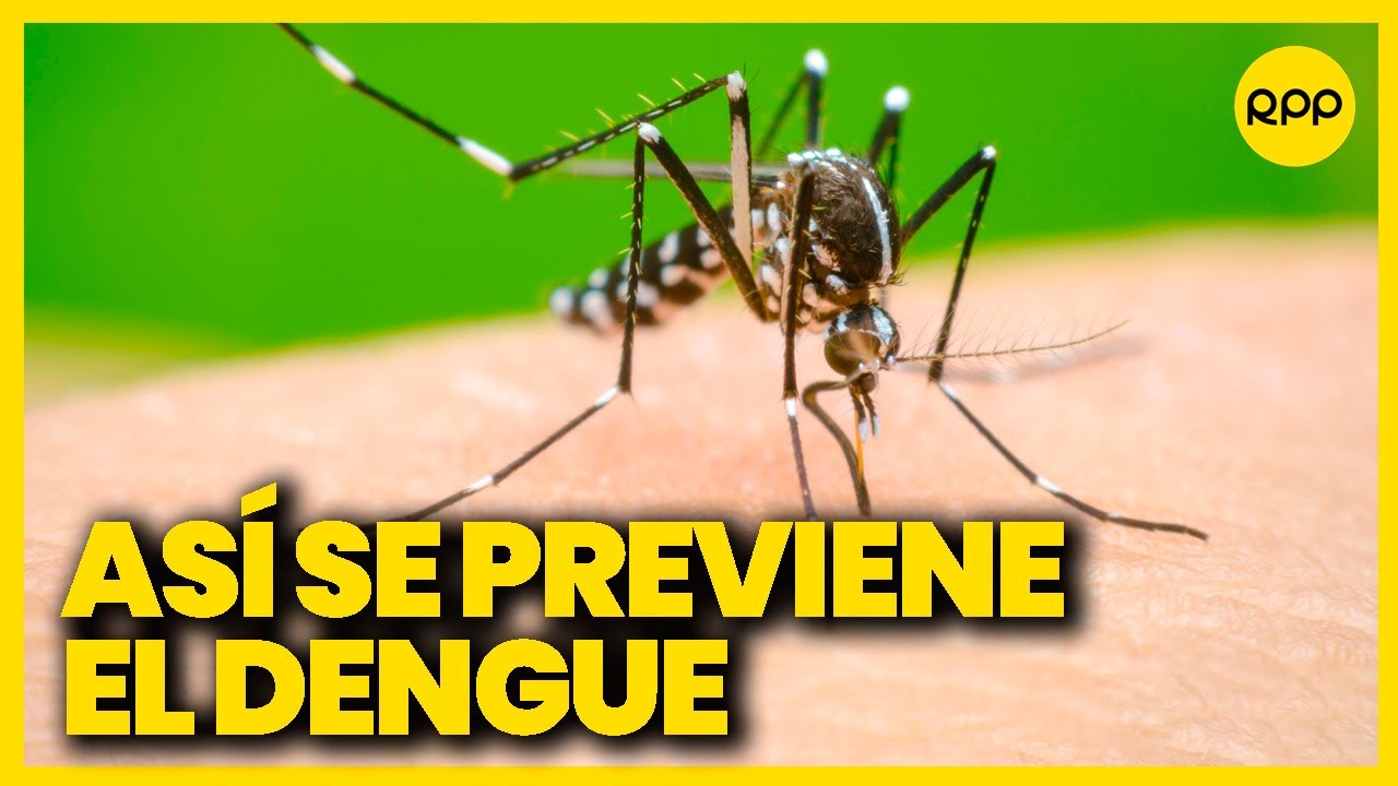 Dengue en Per&uacute;: 